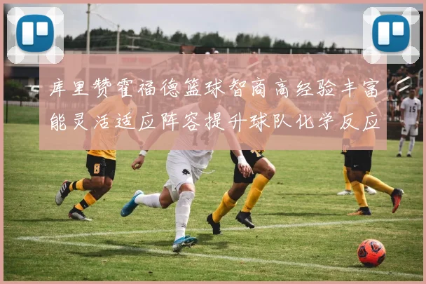 库里赞霍福德篮球智商高经验丰富能灵活适应阵容提升球队化学反应