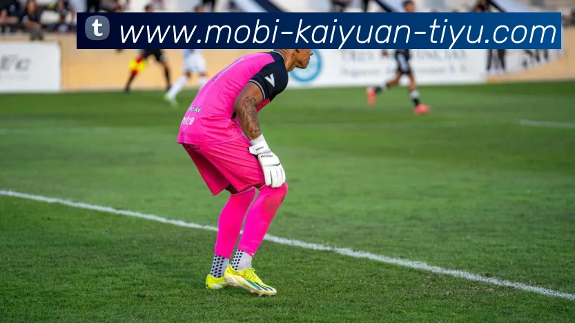 开元体育服务体系