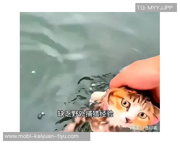 库尔图瓦谈老鼠事件表示绝不会伤害小动物将其安全放生 库尔图瓦谈老鼠事件表示绝不会伤害小动物将其安全放生