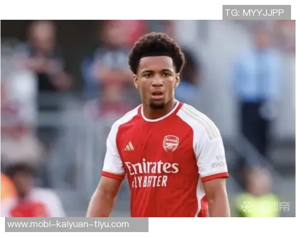 阿森纳计划1月外租恩瓦内里并考虑出售马丁内利等球员的报价